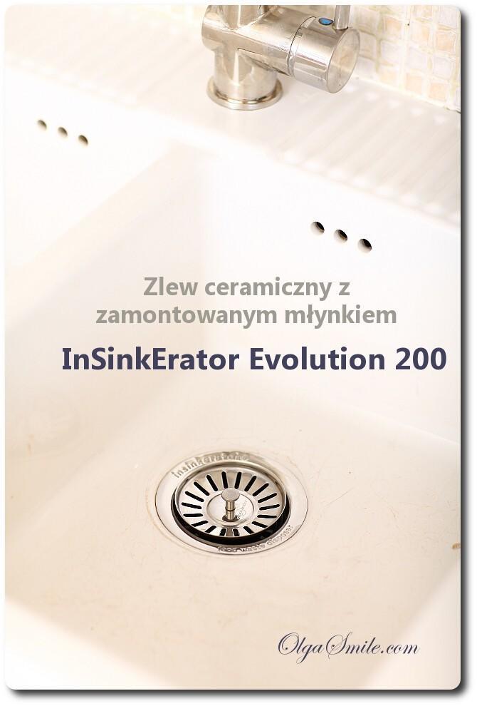 InSinkErator Evolution 200