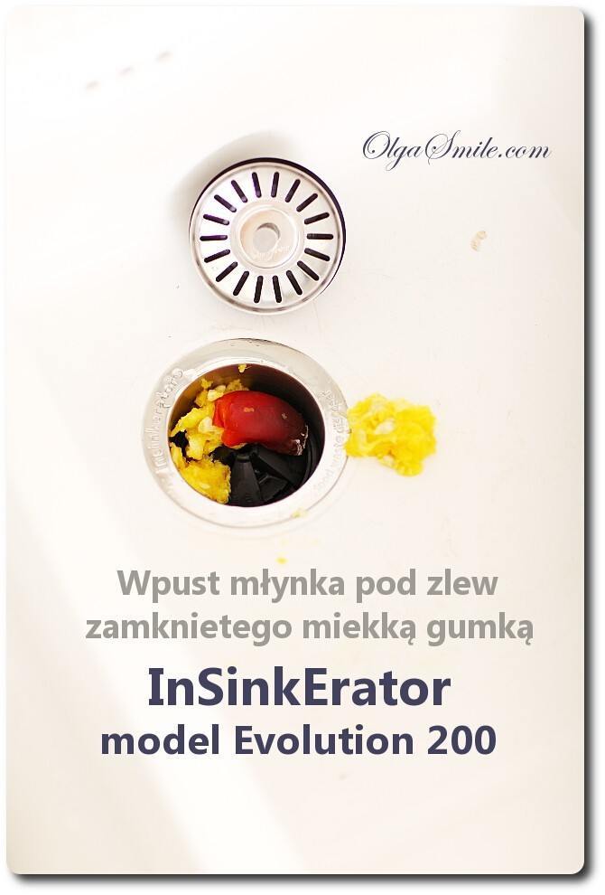 InSinkErator Evolution 200