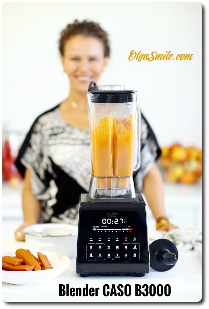 Blender CASO B3000