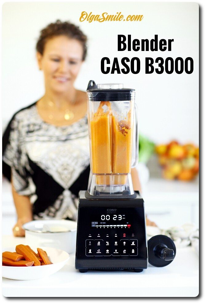 Blender CASO B3000