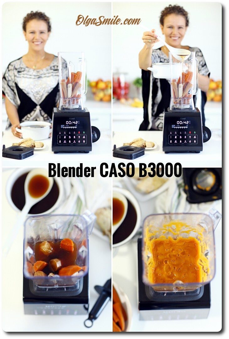 Blender CASO B3000