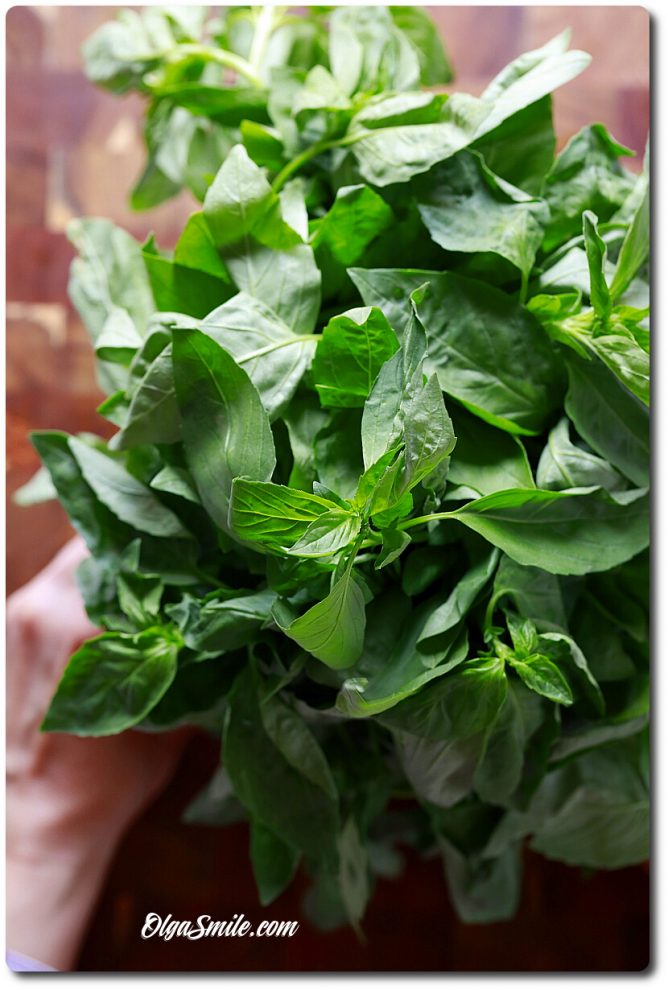 PESTO ALLA GENOVESE przepis Olga Smile