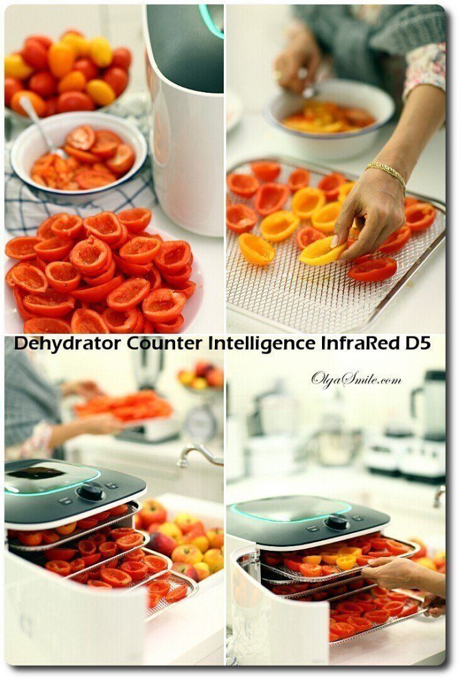 Dehydrator Counter Intelligence InfraRed D5