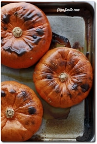 DYNIA PIECZONA HOKKAIDO