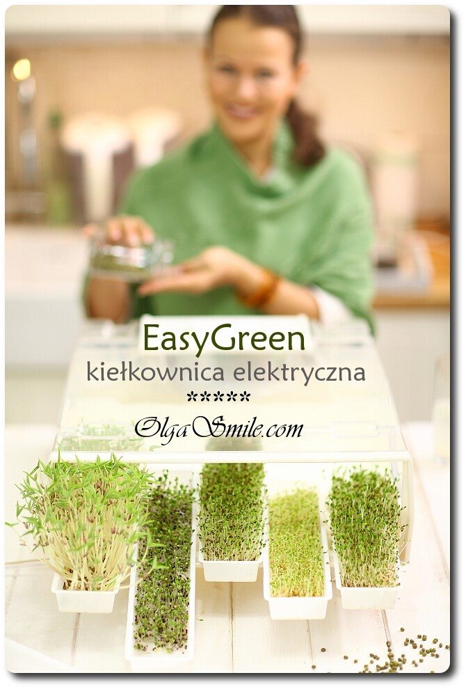 easy-green-kielkownica-55613