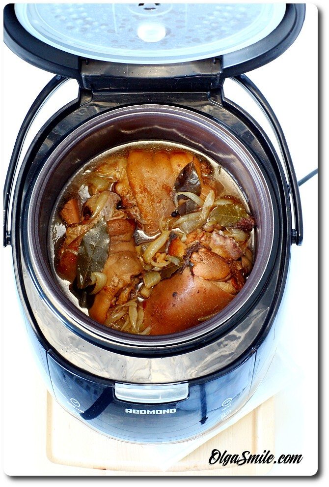 Multicooker REDMOND RMC-151E