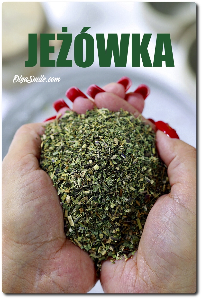 JEŻÓWKA