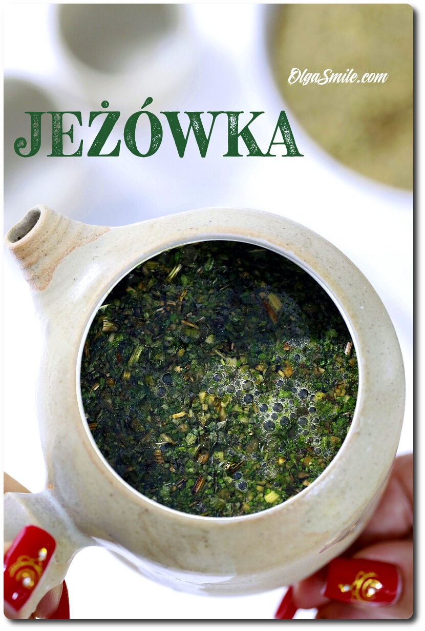 JEŻÓWKA