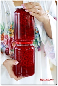 KOMPOT Z CZERWONYCH PORZECZEK NA ZIMĘ