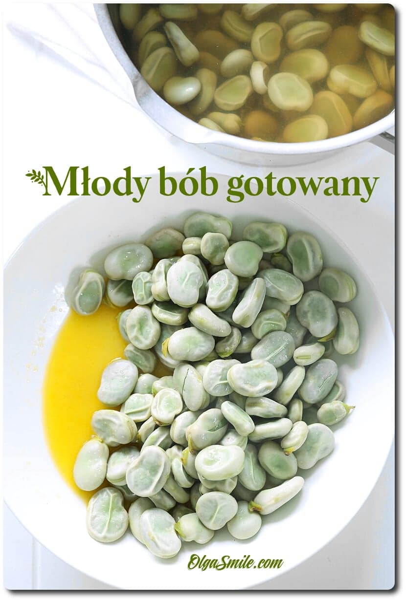 MŁODY BÓB GOTOWANY