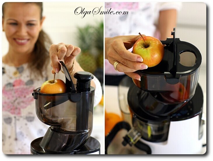 Wyciskarka soku BioChef Atlas Whole Slow Juicer