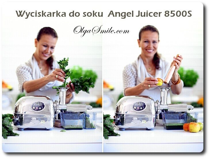 Angel Juicer 8500S