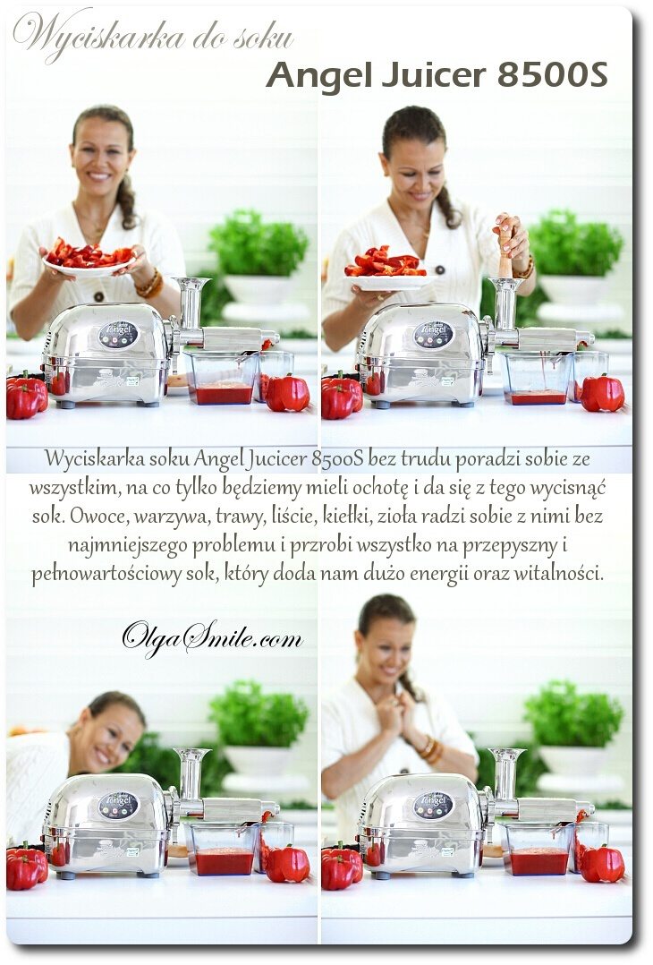 Wyciskarka do soku Angel Juicer 8500S