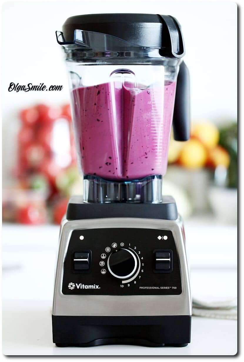 Blender wysokoobrotowy Vitamix Pro 750