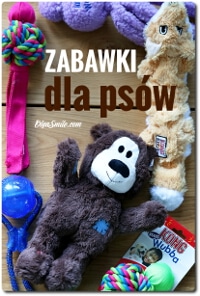 ZABAWKI DLA PSÓW